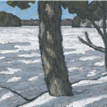 frozen lake white pine - 
                        H: 5
                          
                        W: 6
                         - 
                        
                        